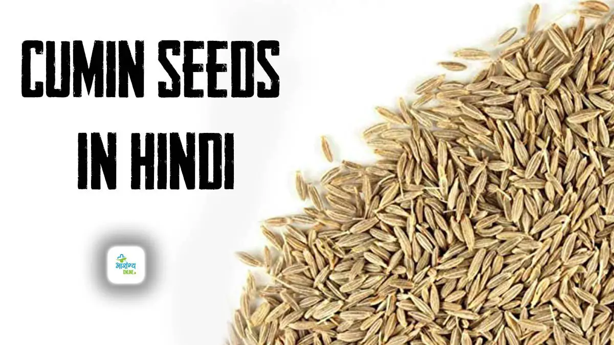 Cumin Seeds In Hindi