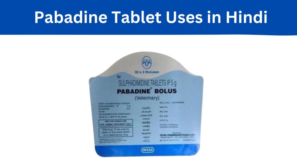 Pabadine Tablet Uses in Hindi