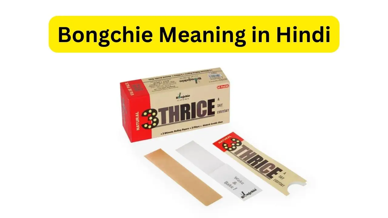 Bongchie Meaning in Hindi