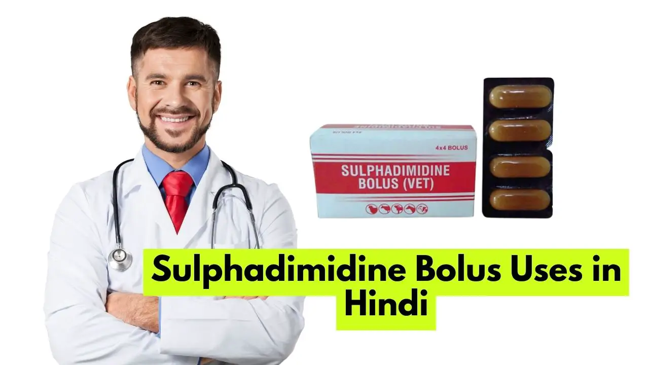 Sulphadimidine Bolus Uses in Hindi