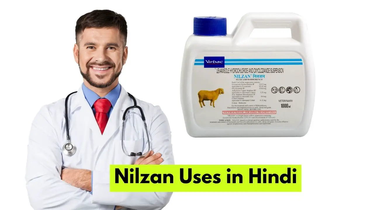 Nilzan Uses in Hindi