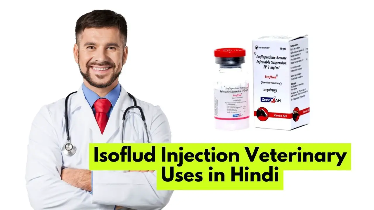Isoflud Injection Veterinary Uses in Hindi