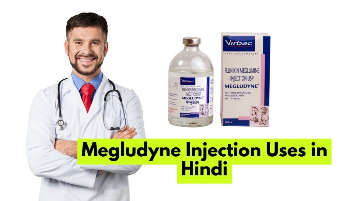 Megludyne Injection Uses in Hindi मेग्लुडाइन इंजेक्शन हिंदी में उपयोग