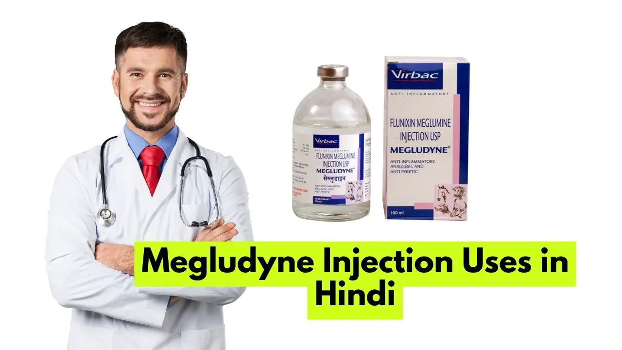 Megludyne Injection Uses in Hindi