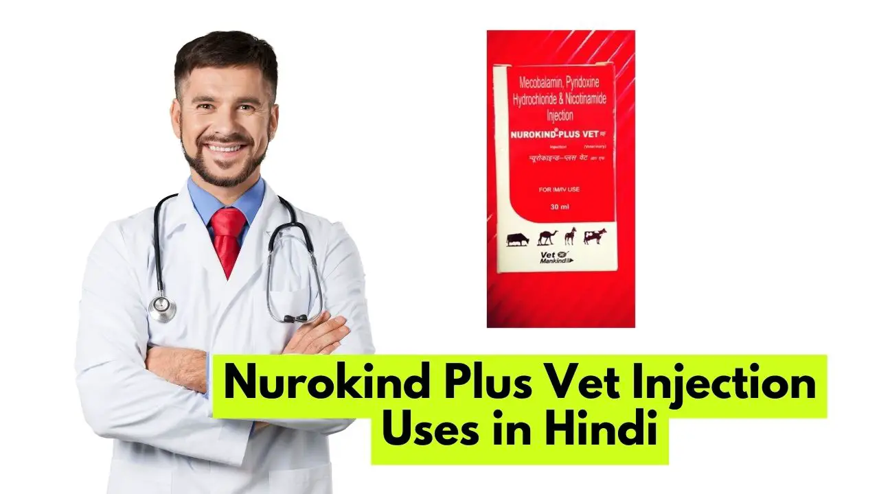 Nurokind Plus Vet Injection Uses in Hindi