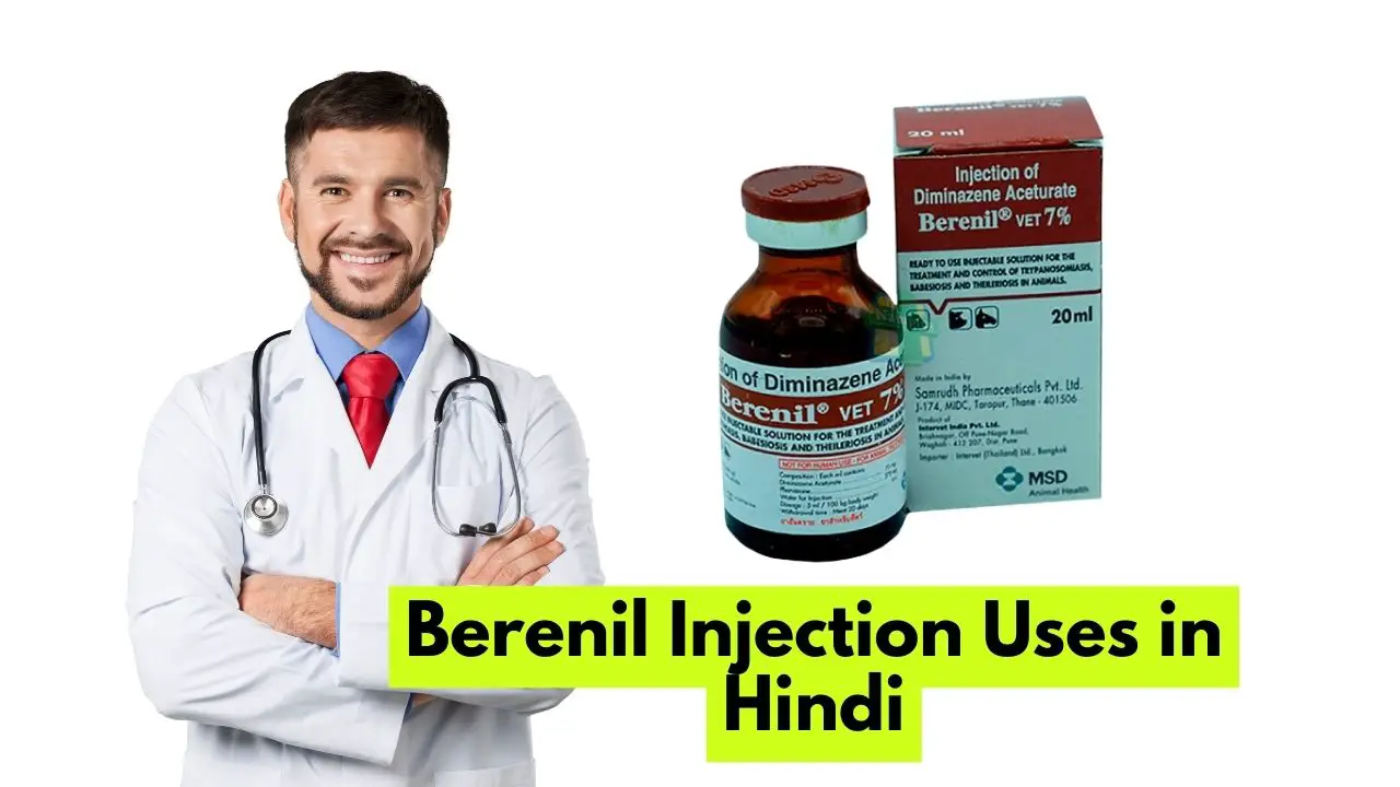 Berenil Injection Uses in Hindi