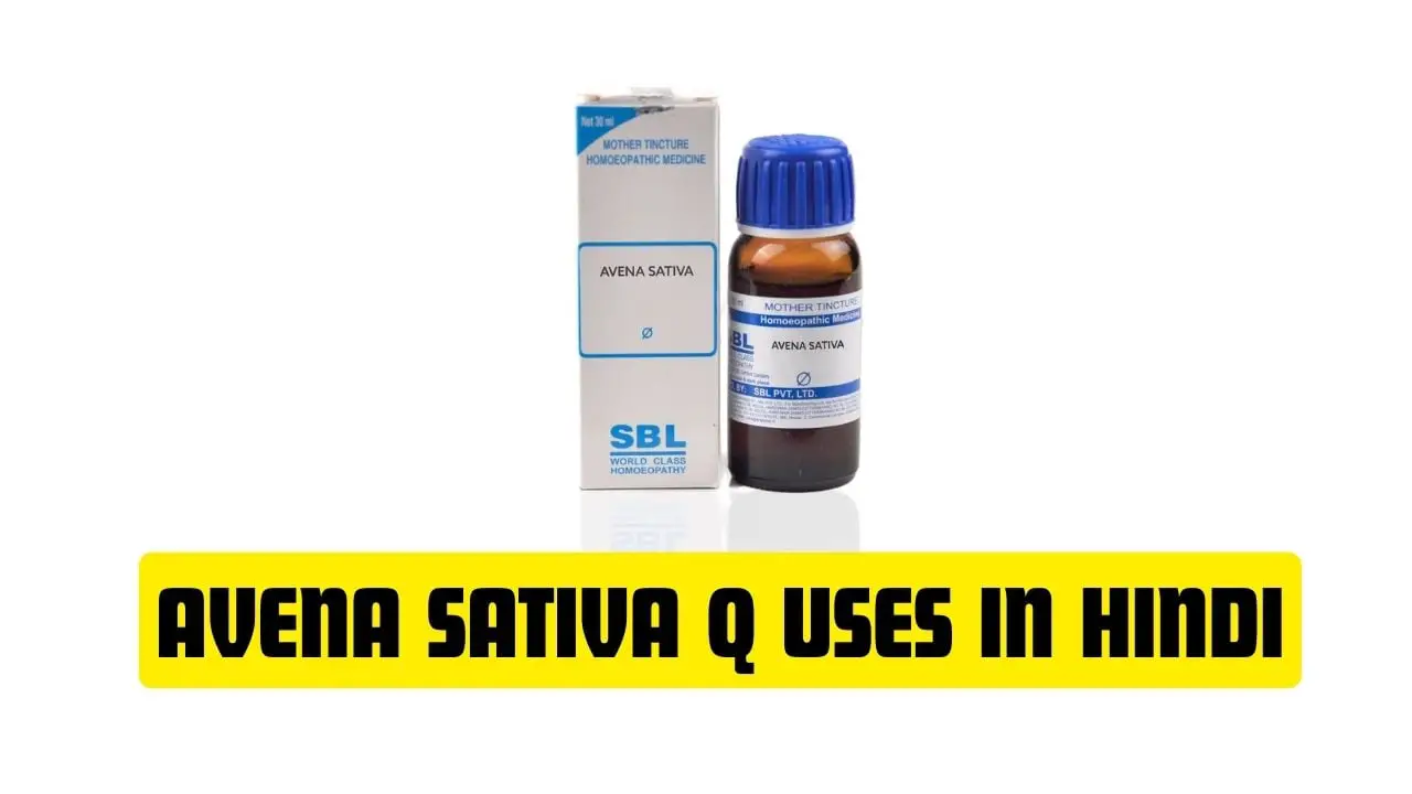 Avena Sativa Q Uses in Hindi