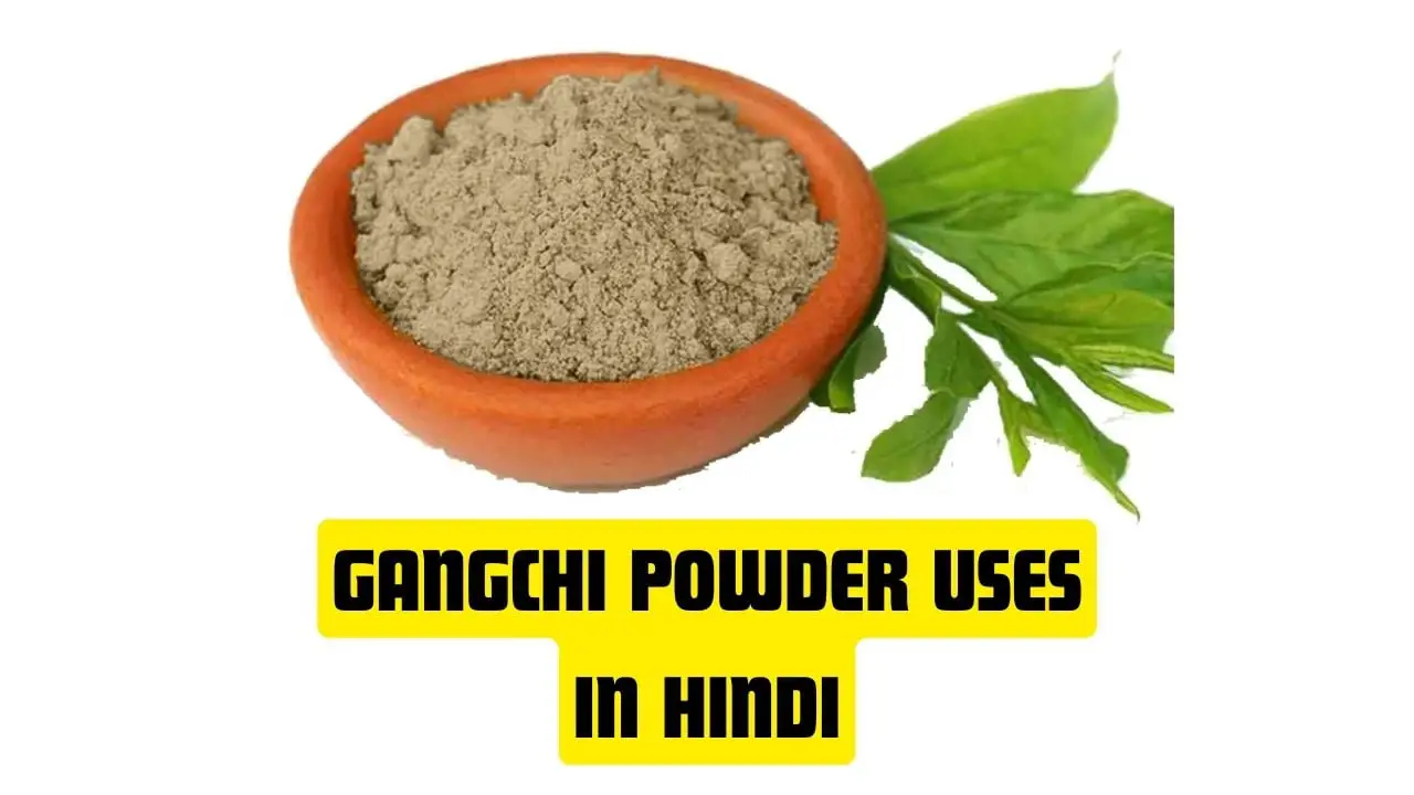 Gangchi Powder Uses in Hindi