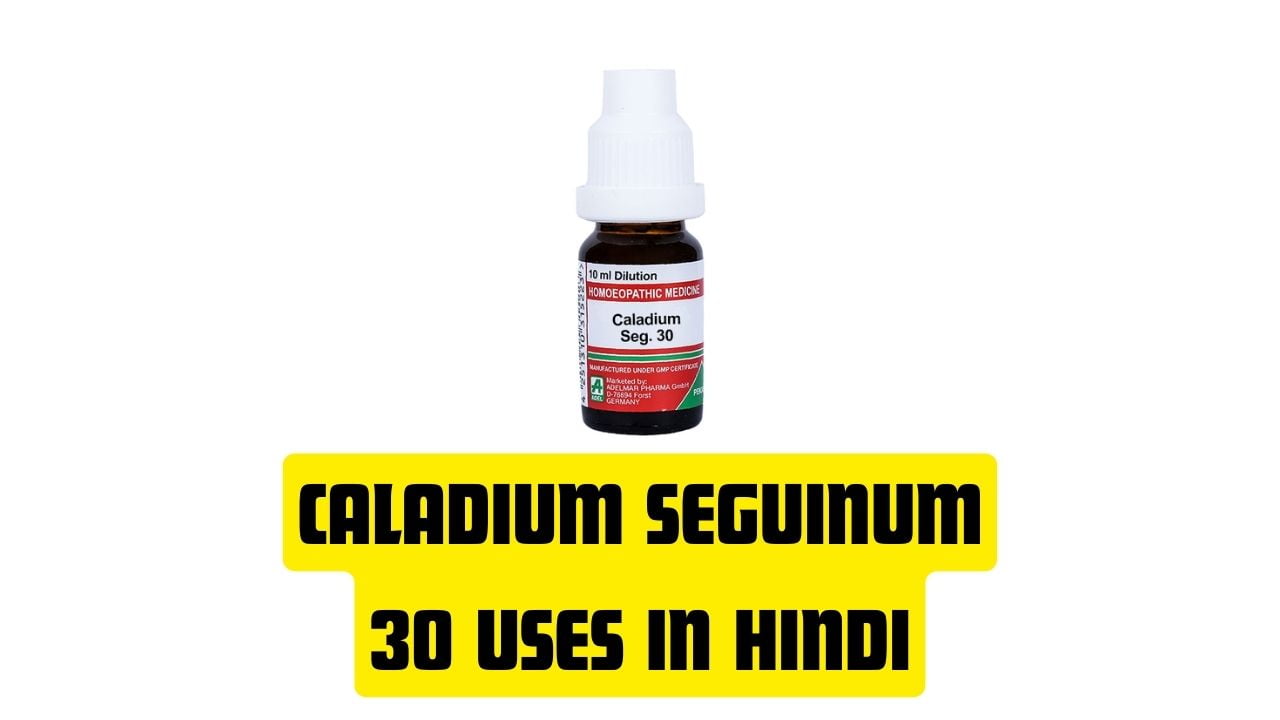 Caladium Seguinum 30 Uses in Hindi