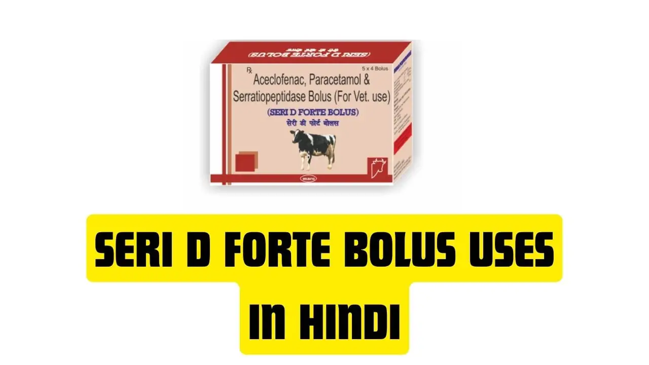 Seri D Forte Bolus Uses in Hindi