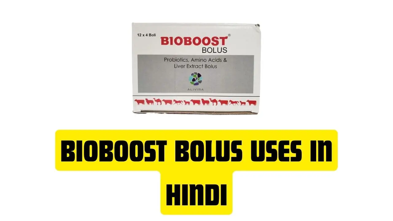 Bioboost Bolus Uses in Hindi