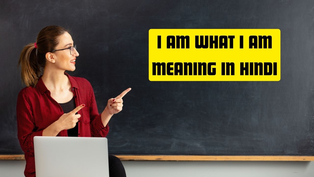 I Am What I Am Meaning in Hindi