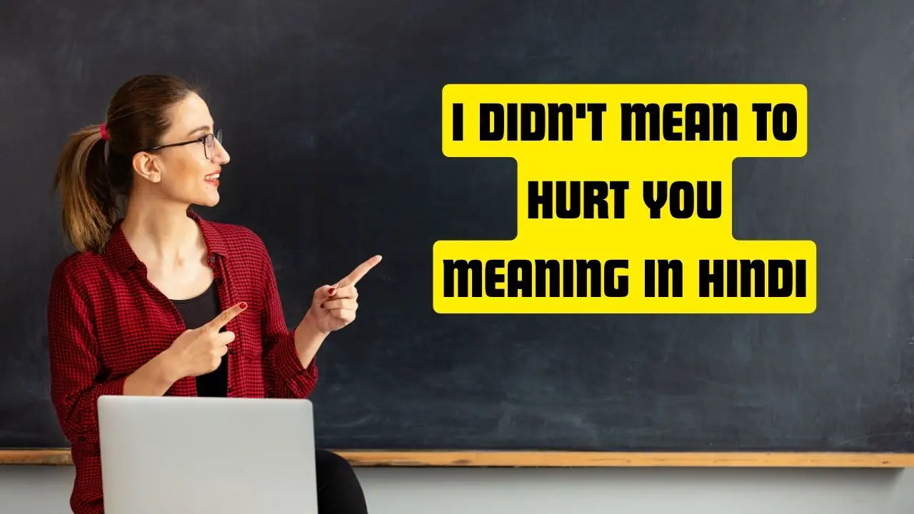 I Didn't Mean to Hurt You Meaning in Hindi