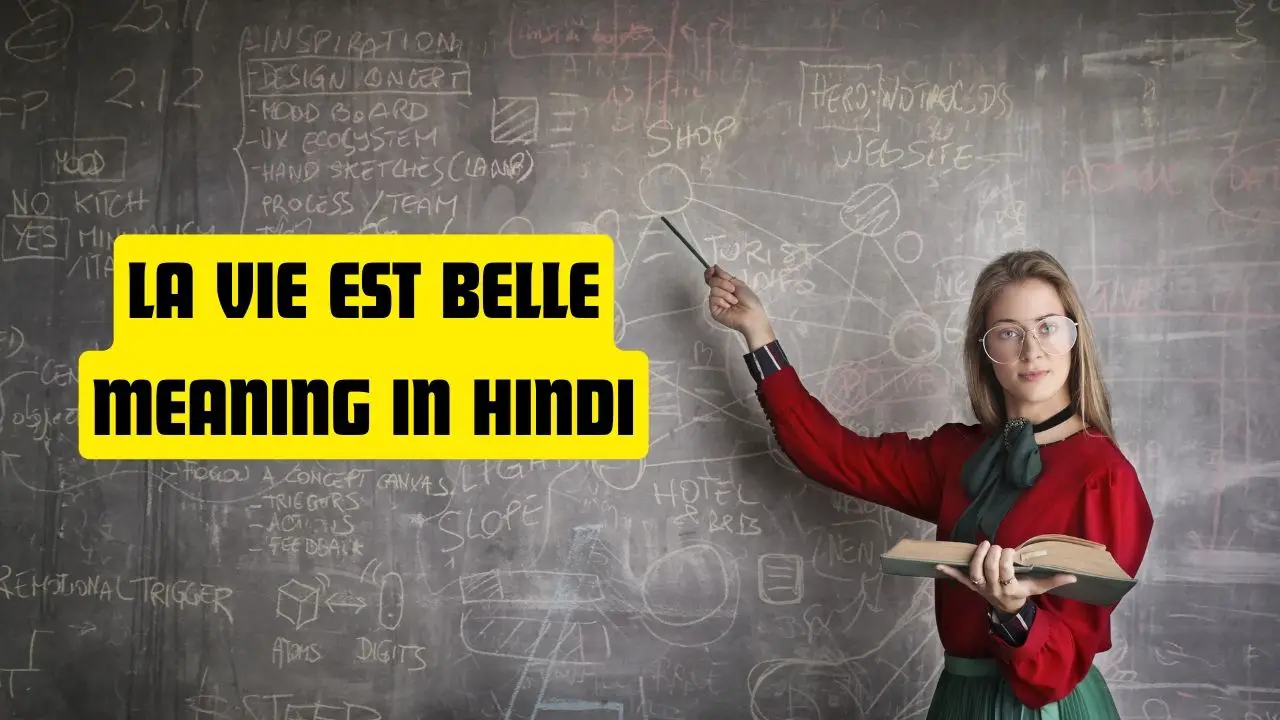 La Vie Est Belle Meaning in Hindi