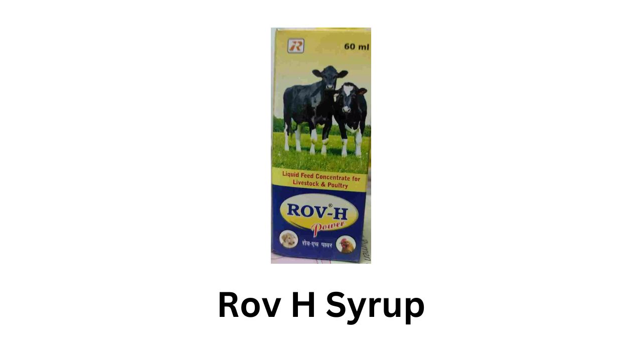 Rov H Syrup