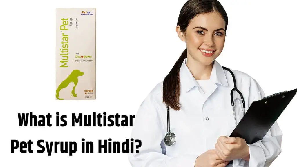 What is Multistar Pet Syrup in Hindi?