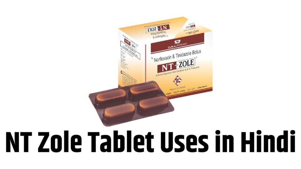 NT Zole Tablet Uses in Hindi
